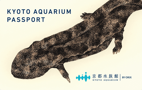 年間パスポートの画像