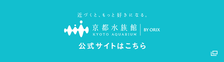 近づくと、もっと好きになる。 京都水族館 公式サイトはこちら